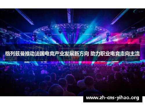 格列兹曼推动法国电竞产业发展新方向 助力职业电竞走向主流 格列兹曼推动法国电竞产业发展新方向 助力职业电竞走向主流