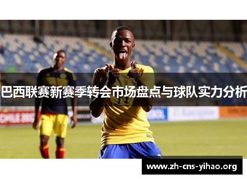 巴西联赛新赛季转会市场盘点与球队实力分析 巴西联赛新赛季转会市场盘点与球队实力分析