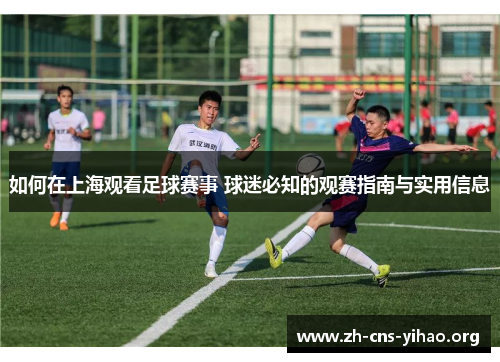 如何在上海观看足球赛事 球迷必知的观赛指南与实用信息 如何在上海观看足球赛事 球迷必知的观赛指南与实用信息