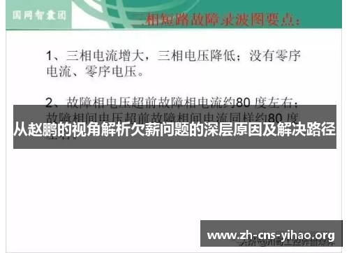 从赵鹏的视角解析欠薪问题的深层原因及解决路径 从赵鹏的视角解析欠薪问题的深层原因及解决路径