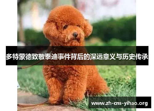 多特蒙德致敬泰迪事件背后的深远意义与历史传承 多特蒙德致敬泰迪事件背后的深远意义与历史传承
