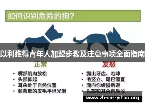 以利雅得青年人加盟步骤及注意事项全面指南 以利雅得青年人加盟步骤及注意事项全面指南