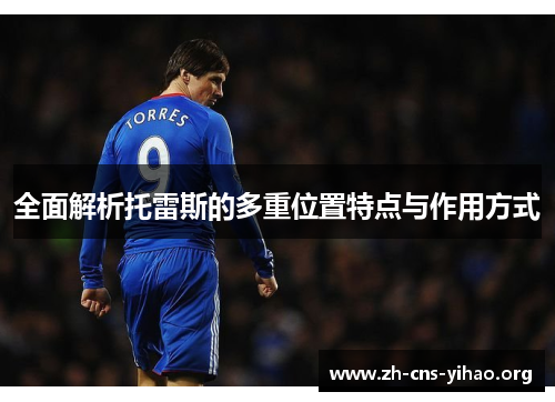 全面解析托雷斯的多重位置特点与作用方式 全面解析托雷斯的多重位置特点与作用方式