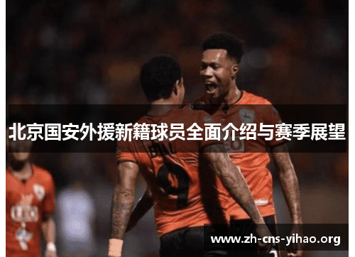 北京国安外援新籍球员全面介绍与赛季展望 北京国安外援新籍球员全面介绍与赛季展望